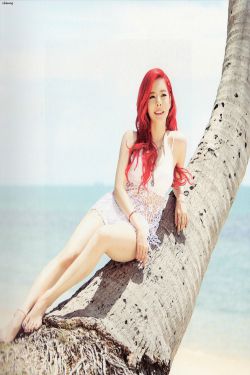 zooskoolknotty人与牛