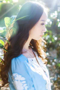 野性的呼唤电影